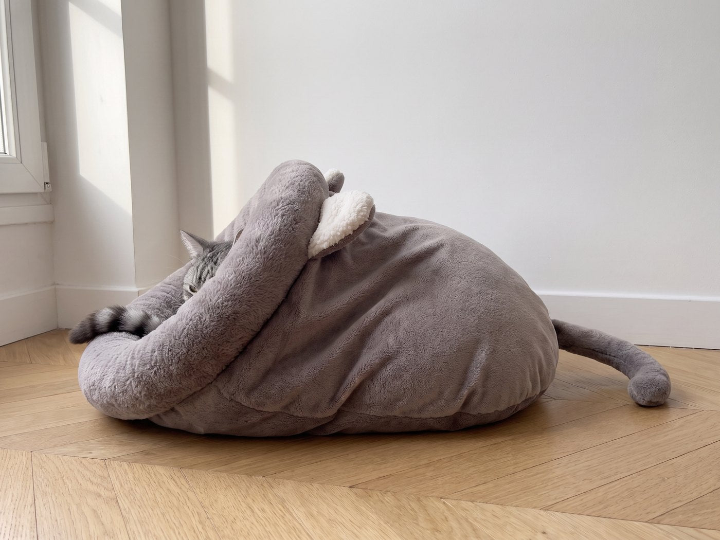Sac de couchage pour chat fermé, un chat entièrement glissé dedans