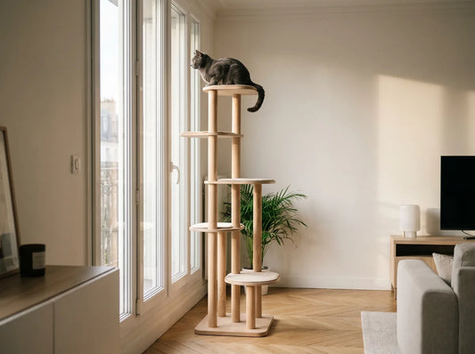 Arbre à chat placé près d'une fenêtre, chat observant l'extérieur