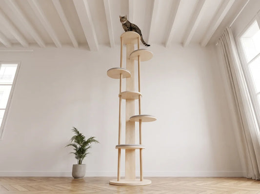 Chat perché au sommet d'un arbre à chat en hauteur
