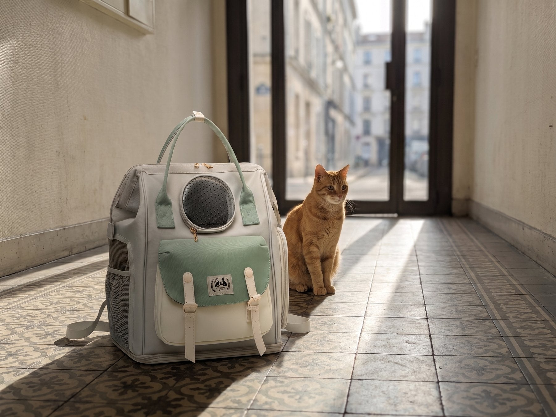 Sac à dos de ville Pelux porté en ville, chat visible au hublot