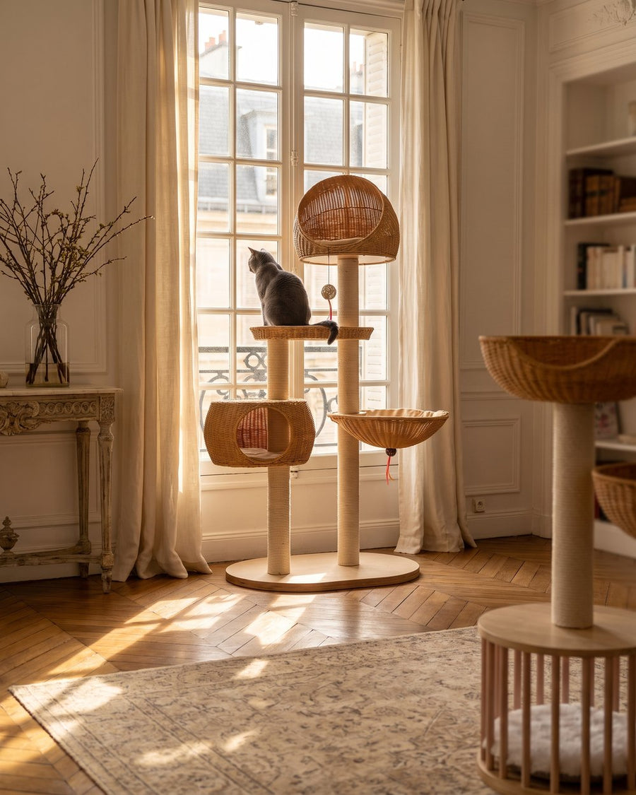 Chat installé dans la corbeille en rotin de l'arbre à chat Pelux