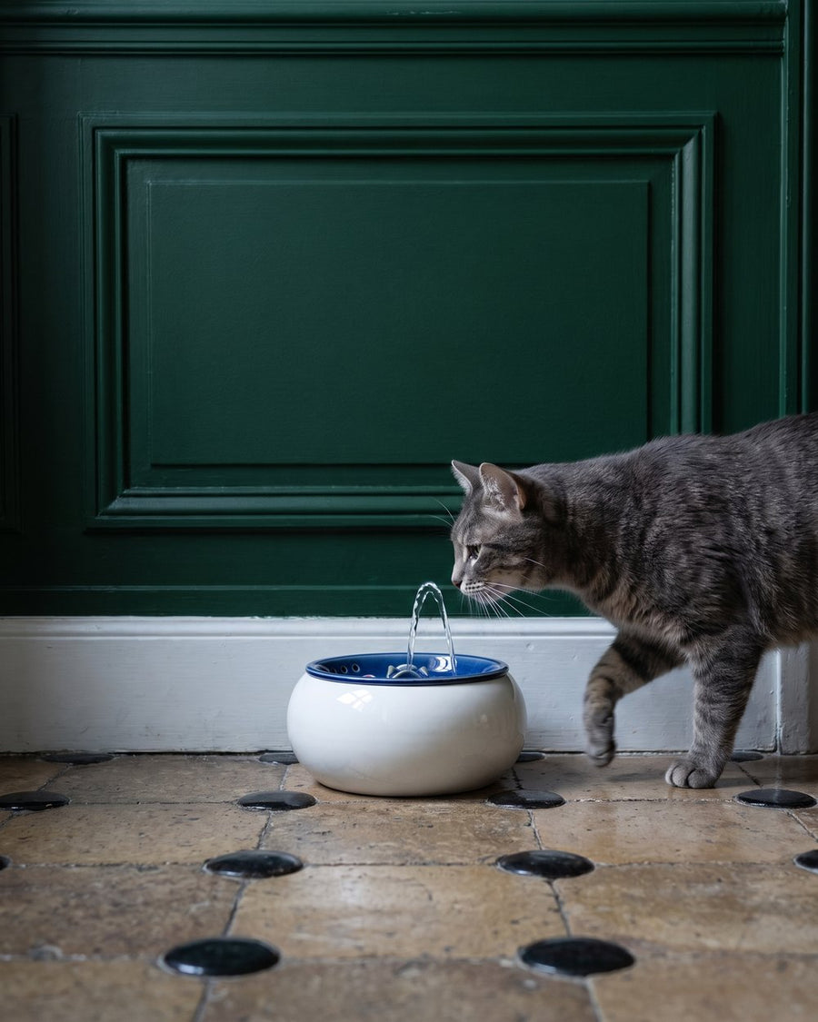 Chat buvant à la fontaine en céramique Pelux