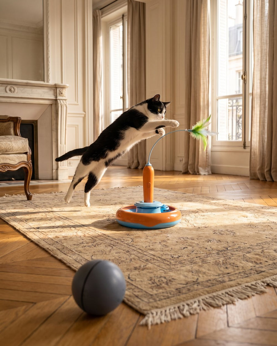 Chat jouant avec le tourniquet à plume Pelux