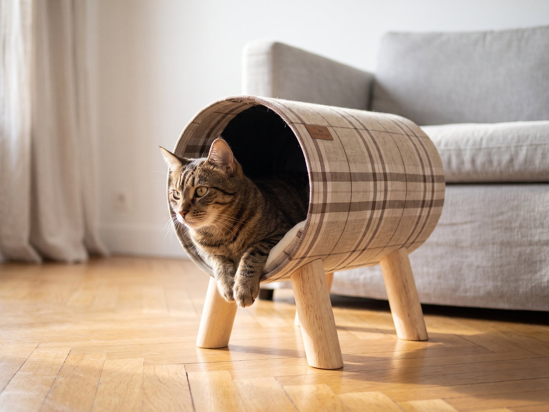 Chat installé dans un tunnel surélevé observant la pièce